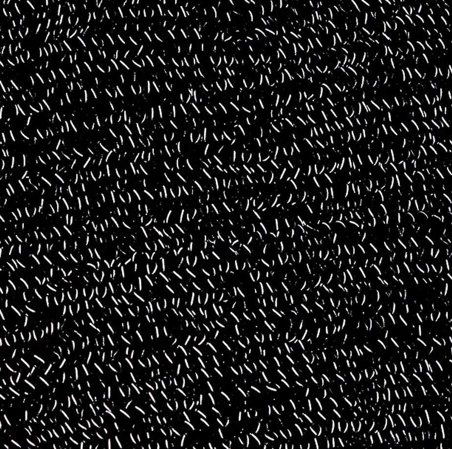 387_69_101_D-2017_01.webp