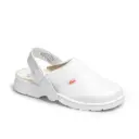 1805 PIEL A